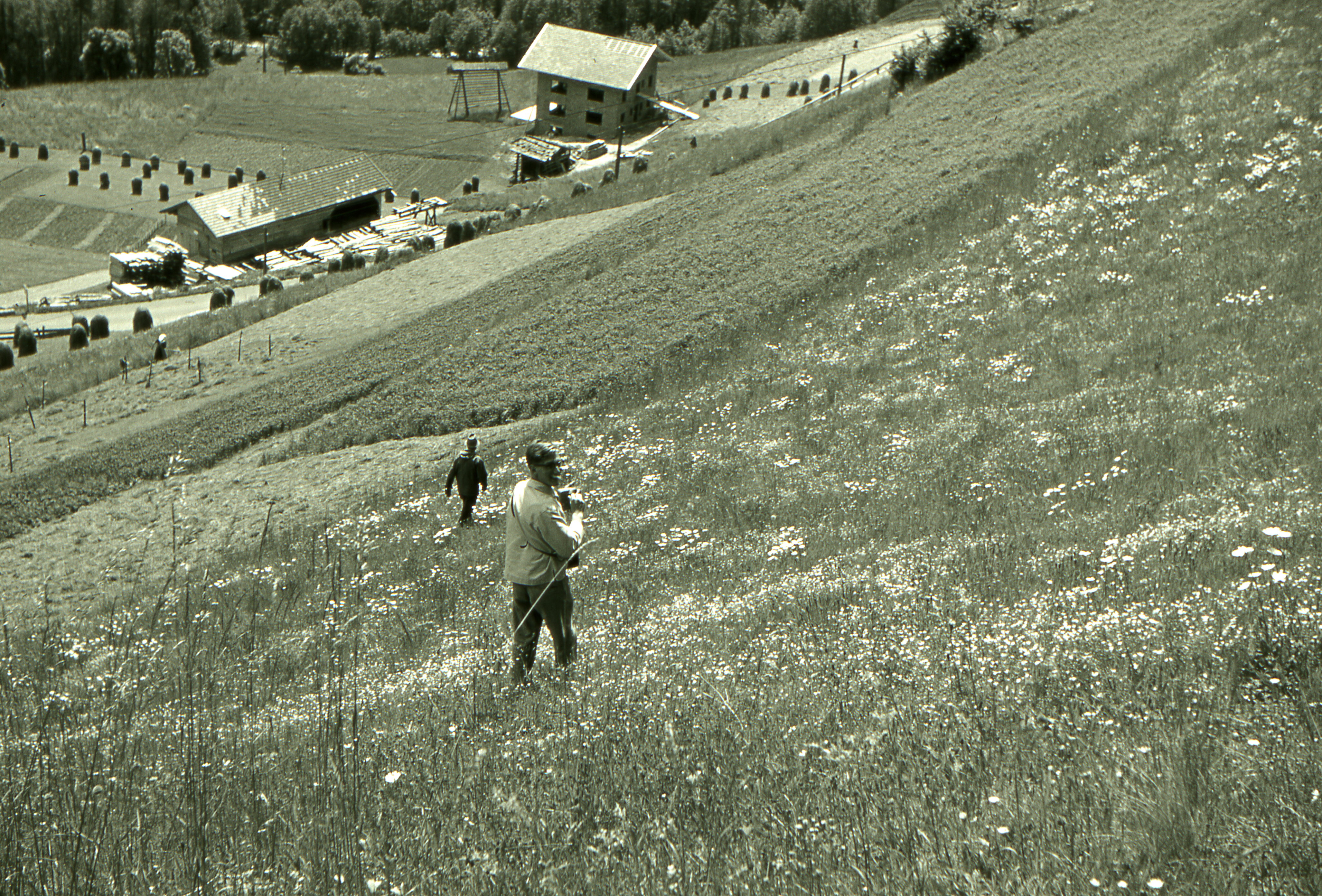 Lesachtalausflug 6319.JPG