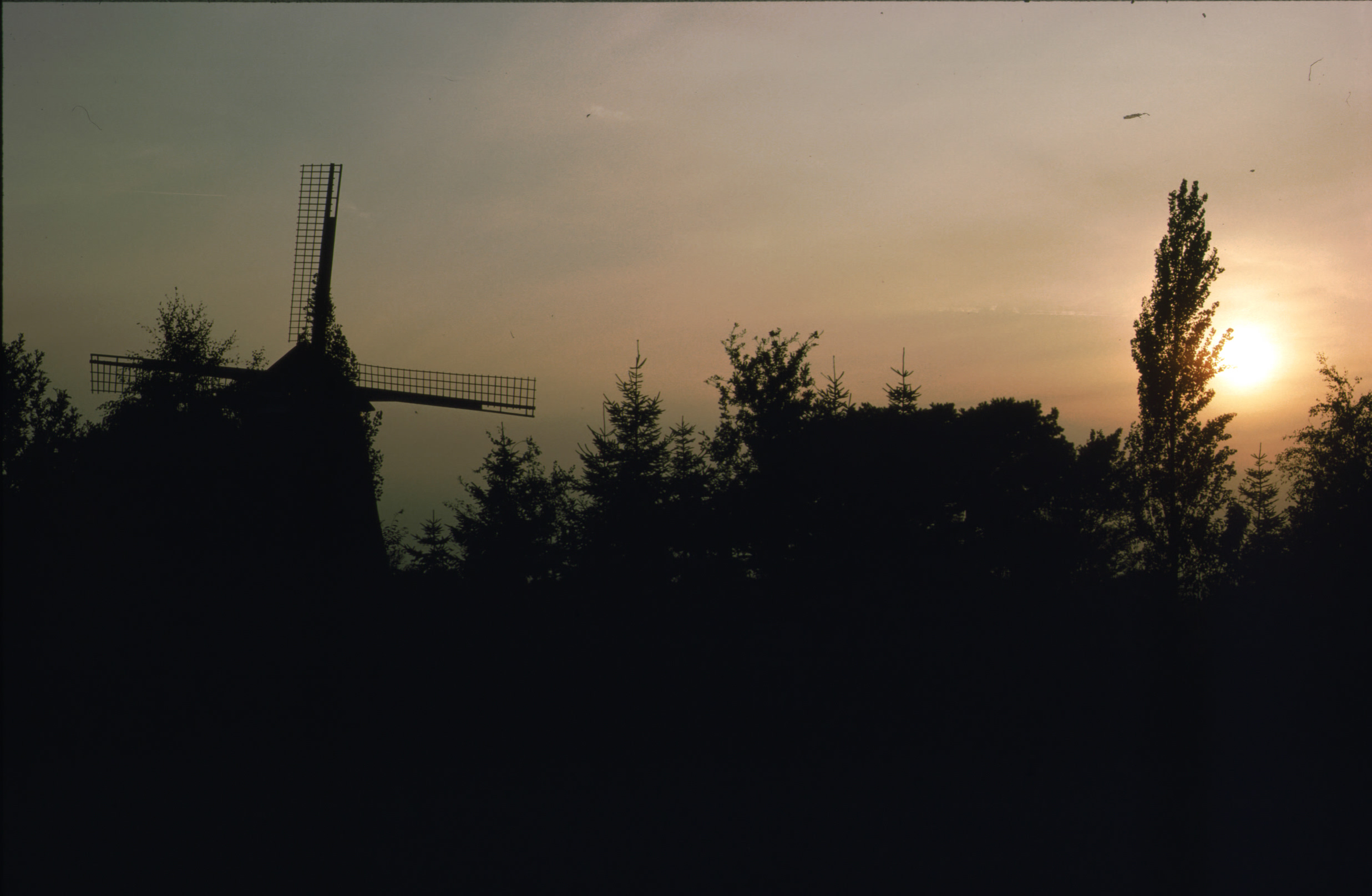IMG045.jpg