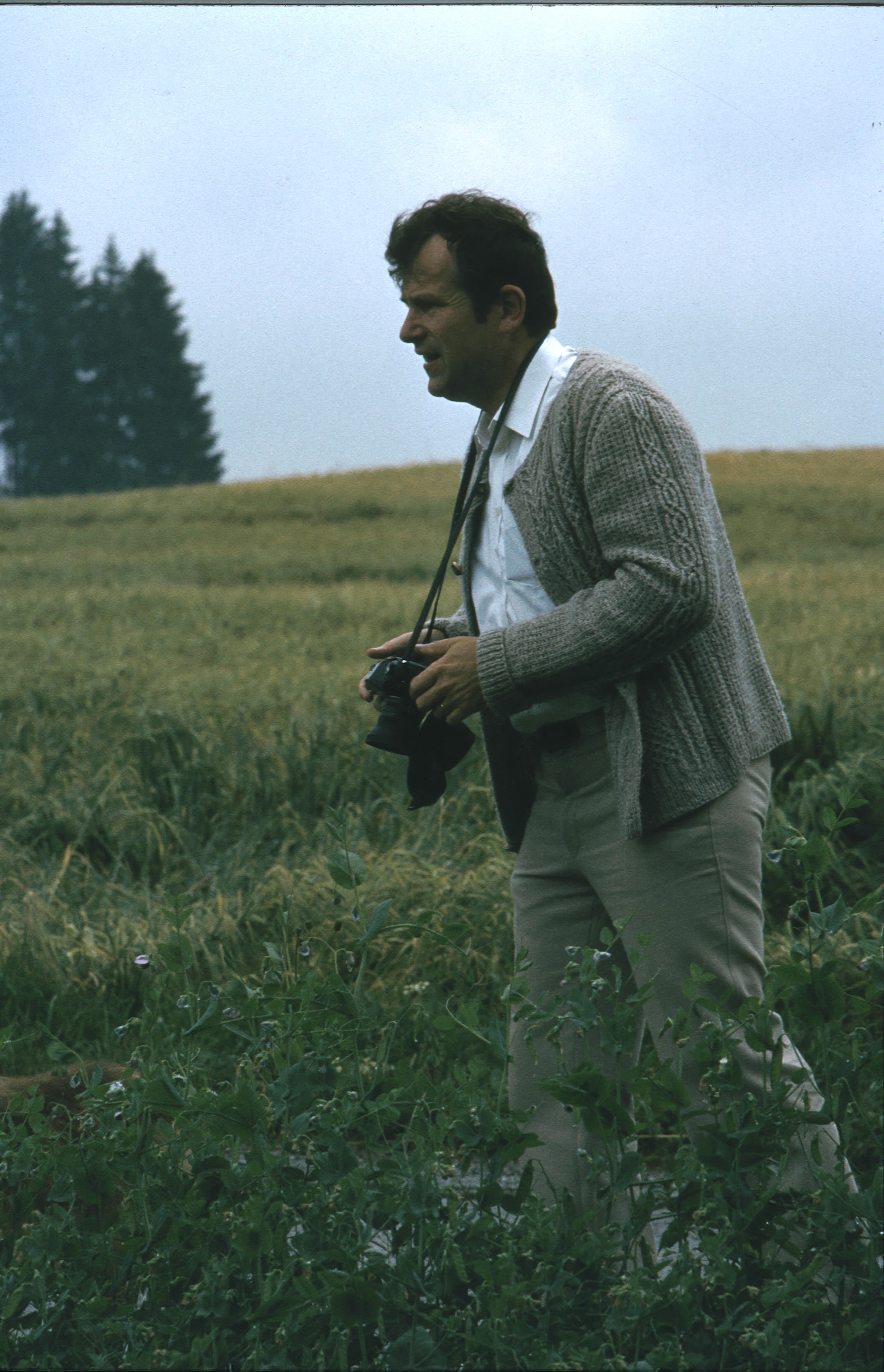 1982 Waldviertel 03.jpg