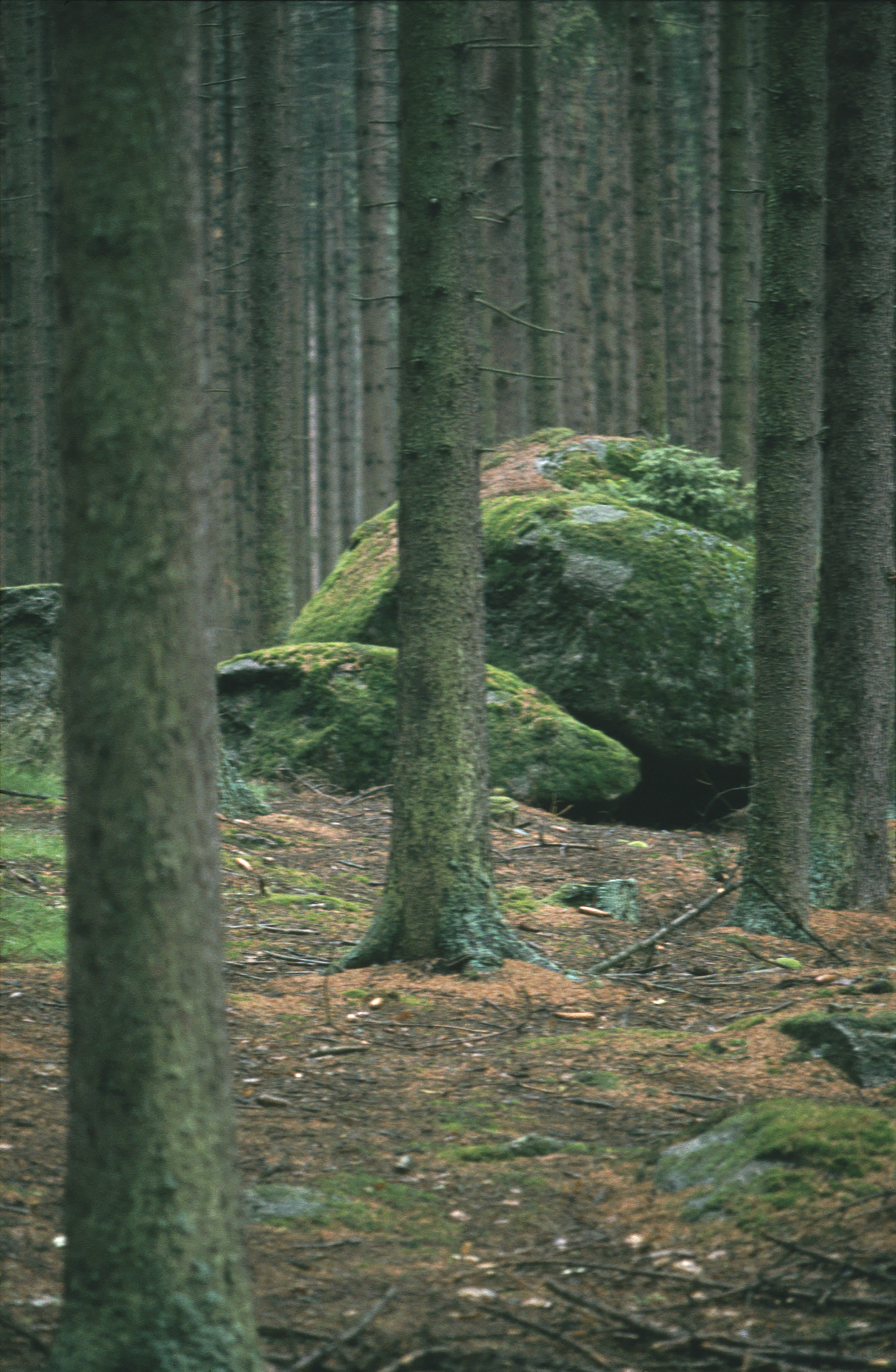 1982 Waldviertel 05.jpg