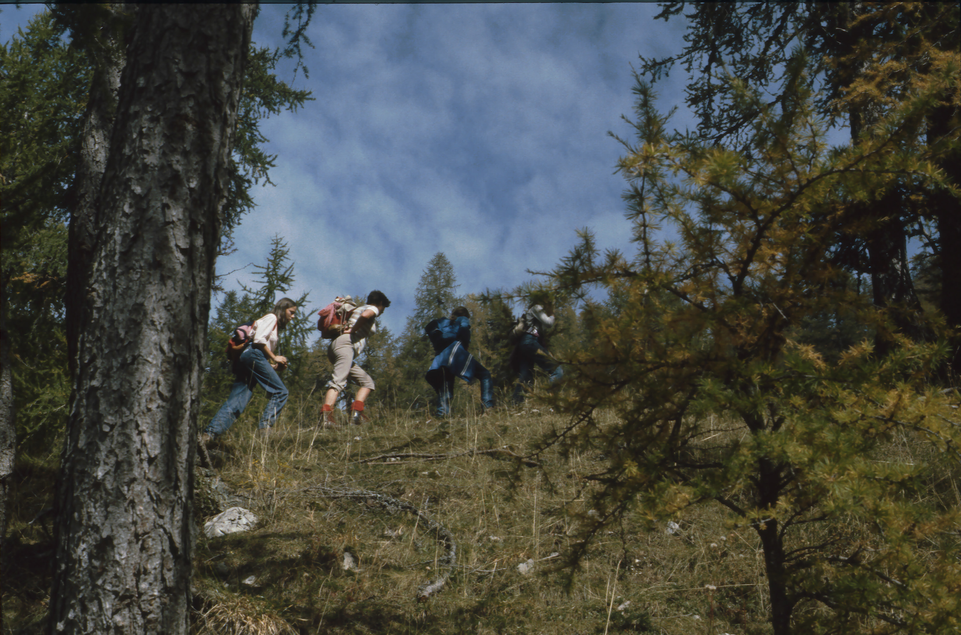 83-Sleme 0195.jpg