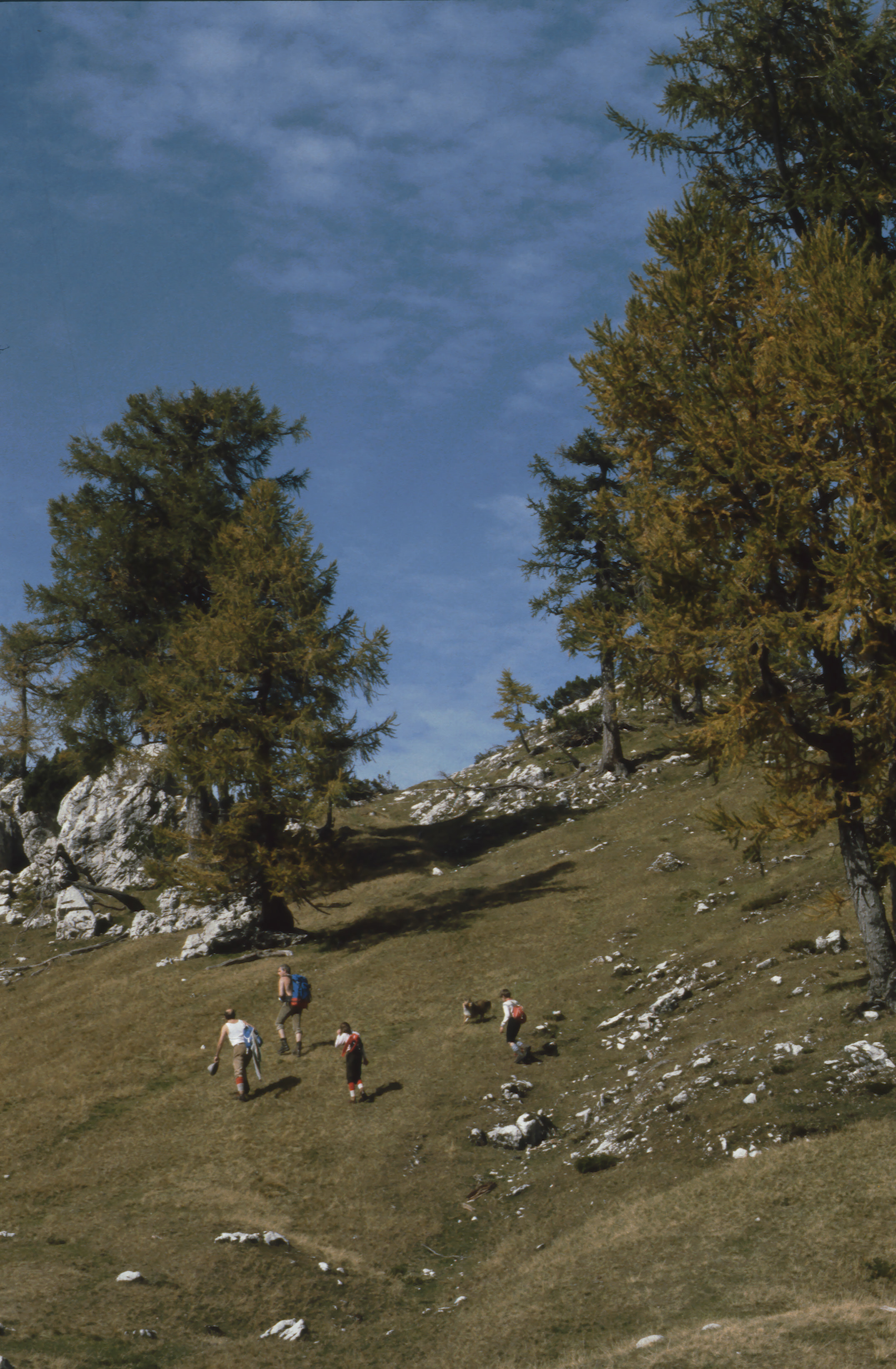 83-Sleme 01a10.jpg