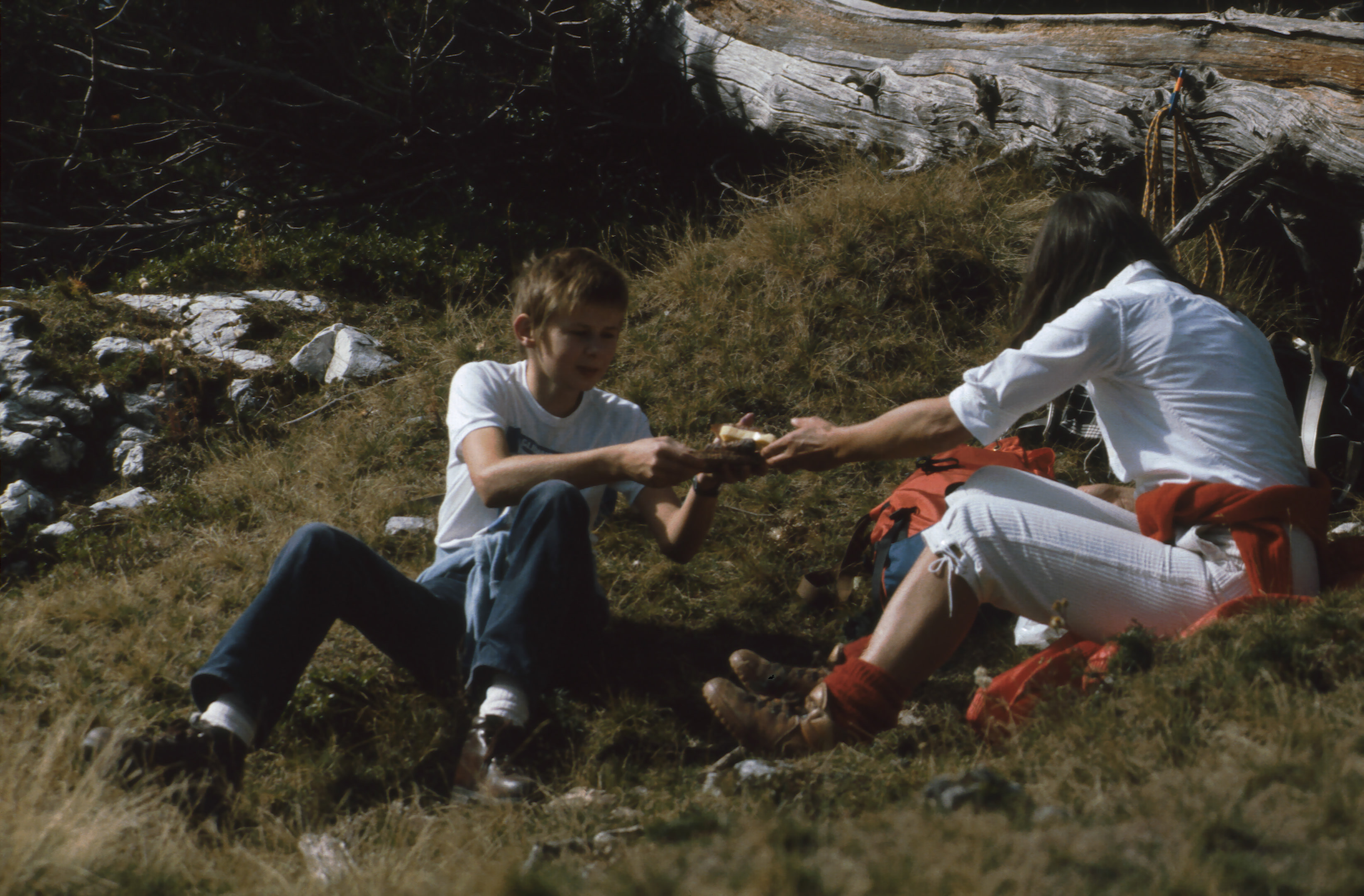 83-Sleme 01a80.jpg