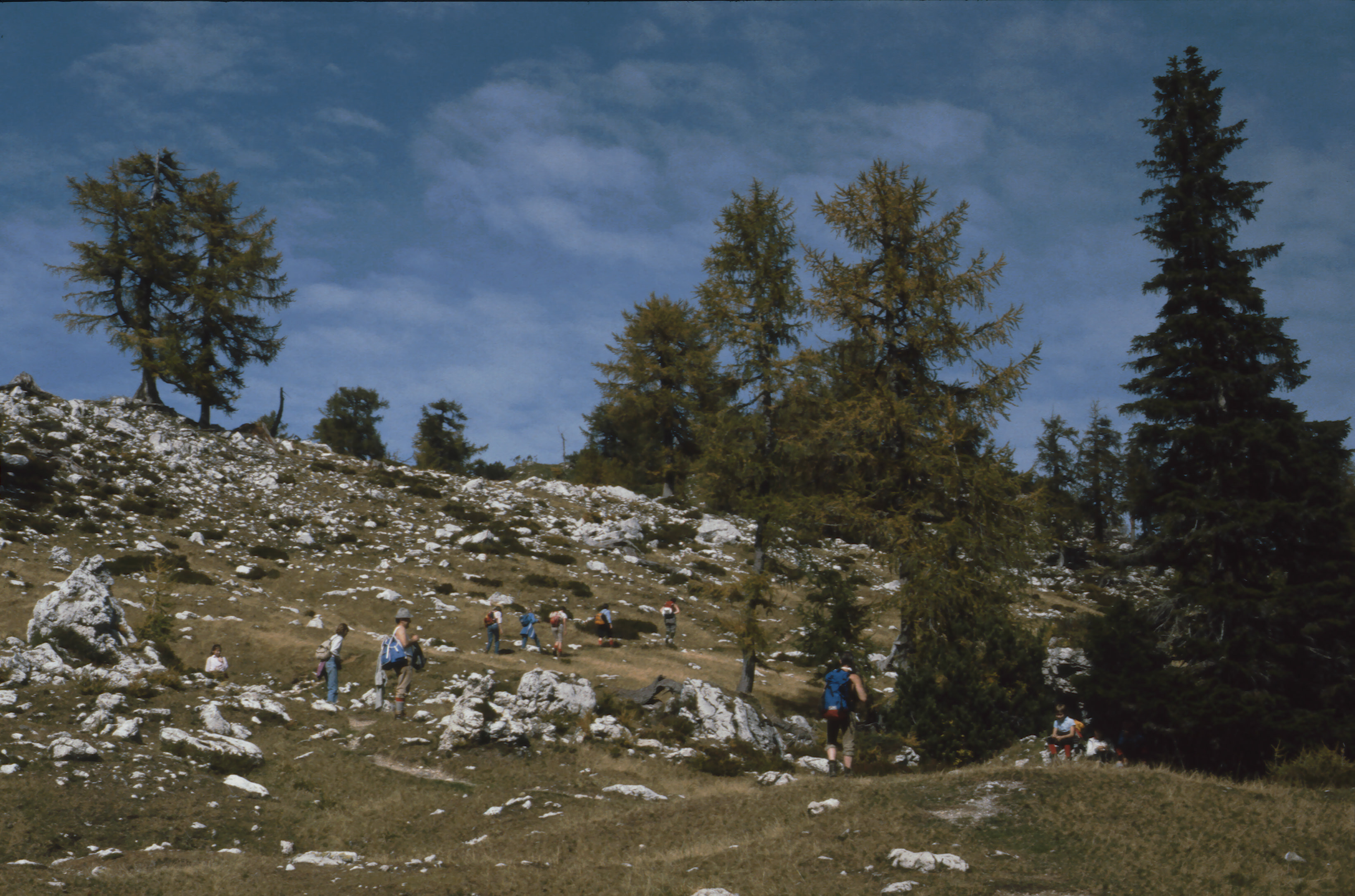 83-Sleme 01a955.jpg