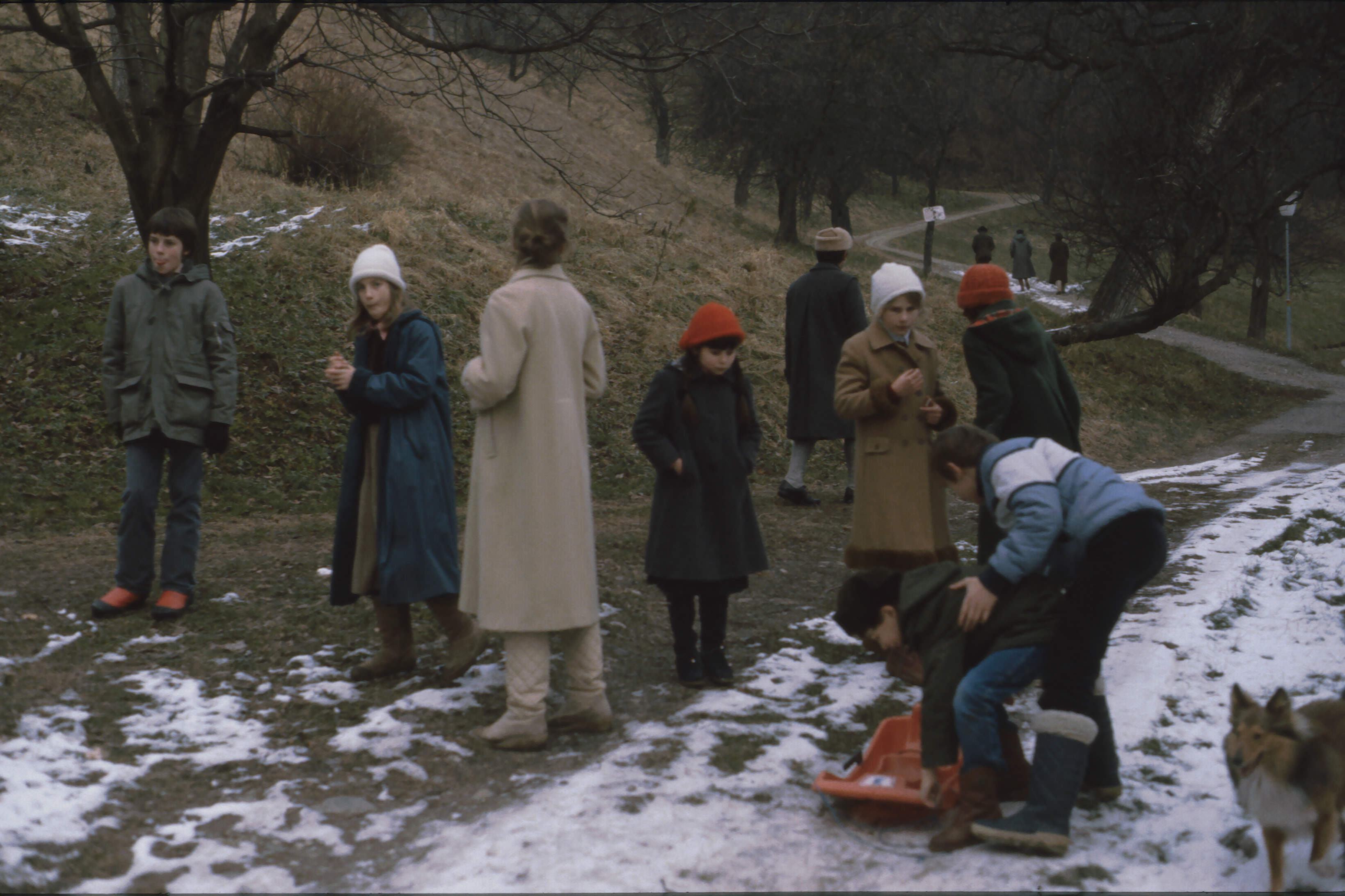 83-Wolfsberg 01.jpg