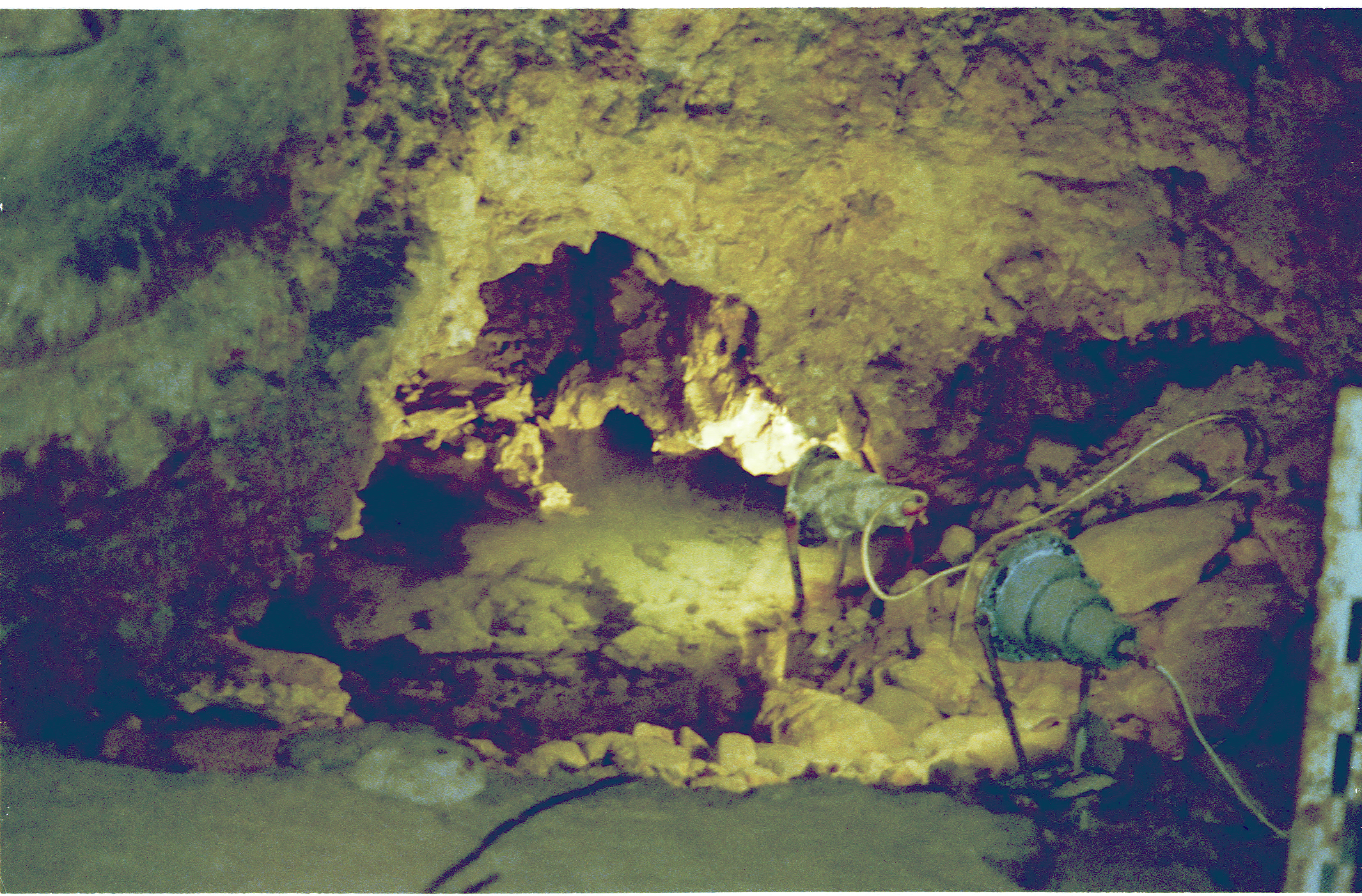 84 Ungarn038.jpg