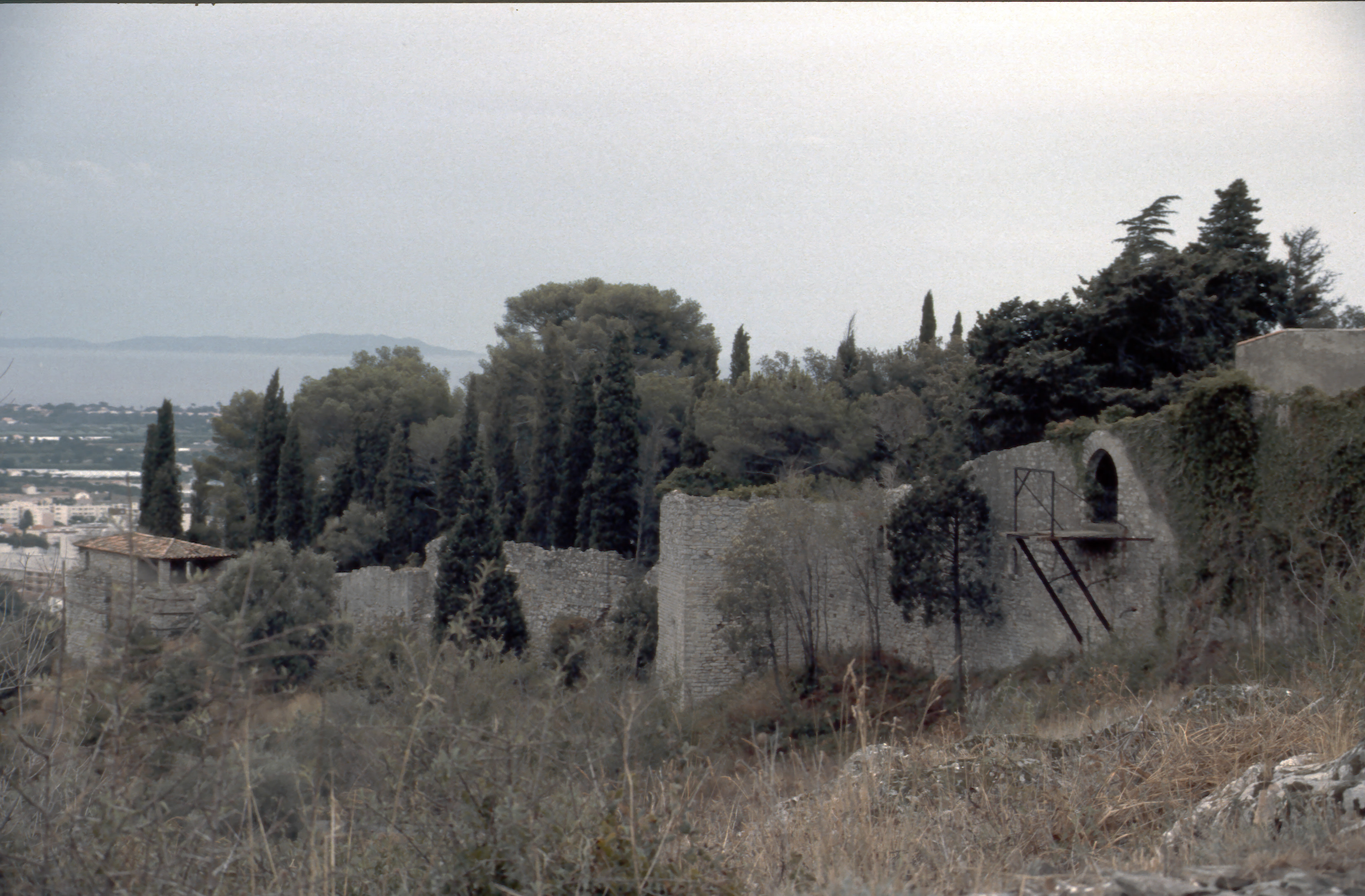 1991 Carmaque006.jpg
