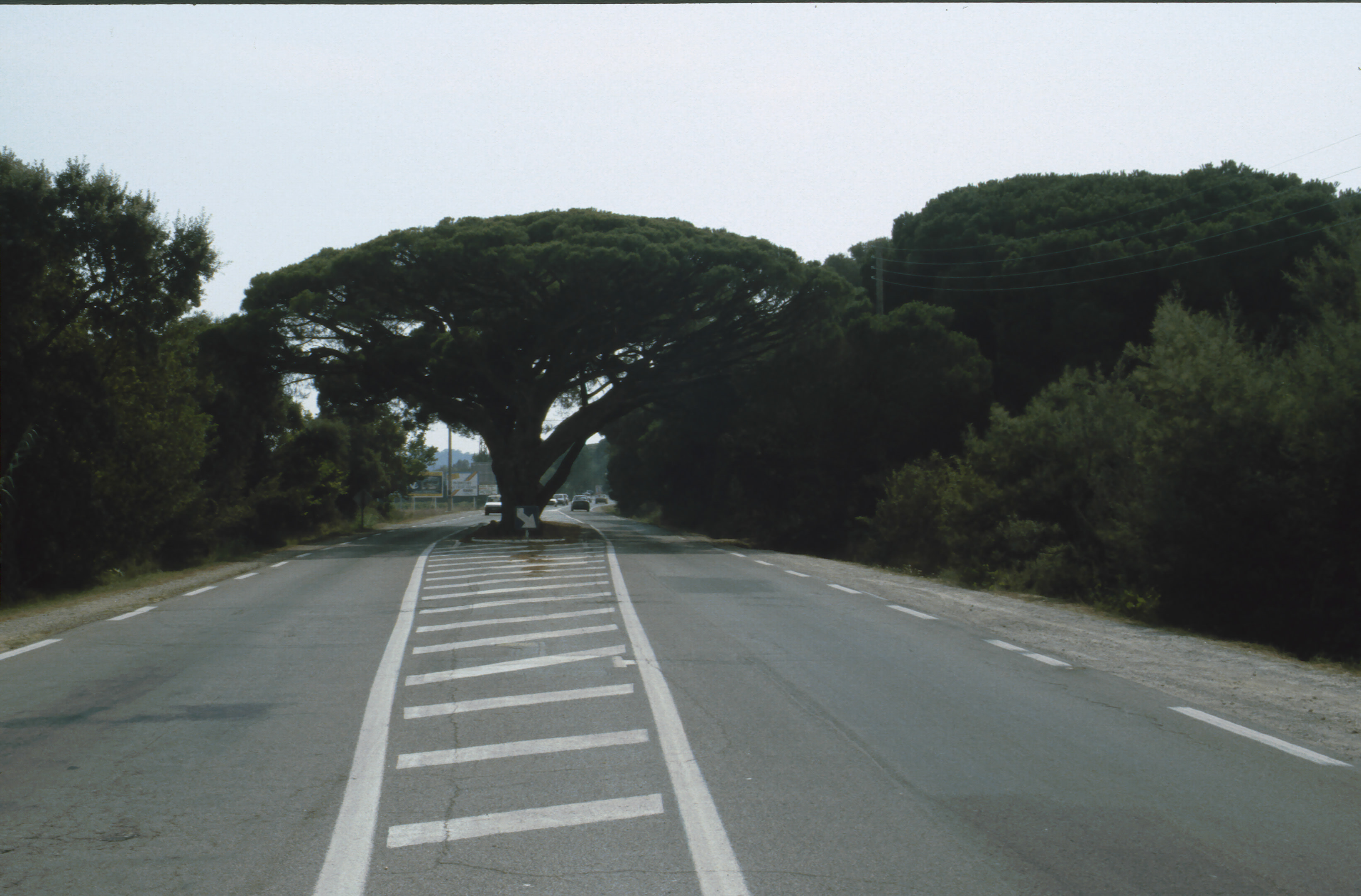 1991 FraA Cote dAzure 017.jpg