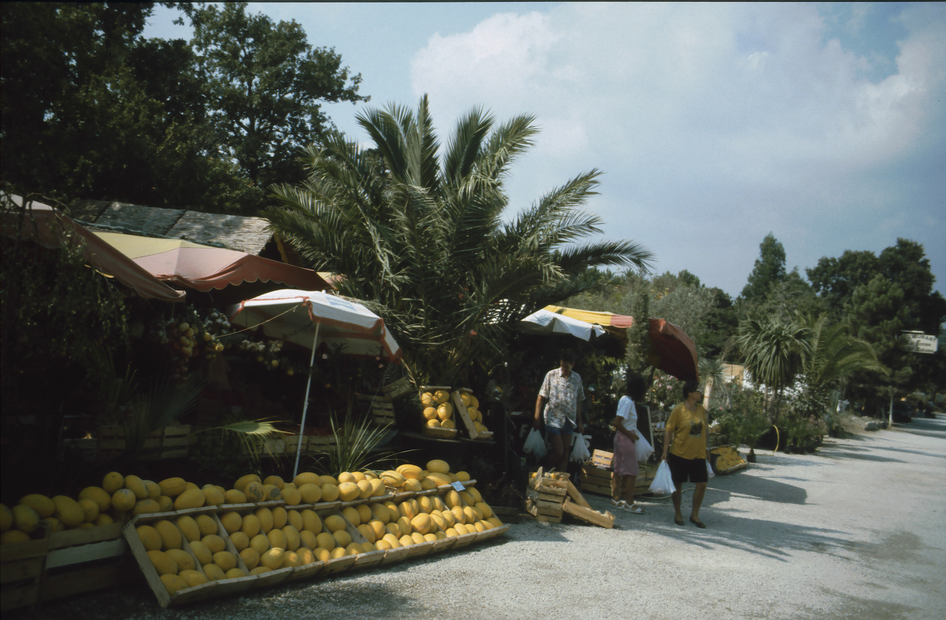 1991 FraA Cote dAzure 018.jpg