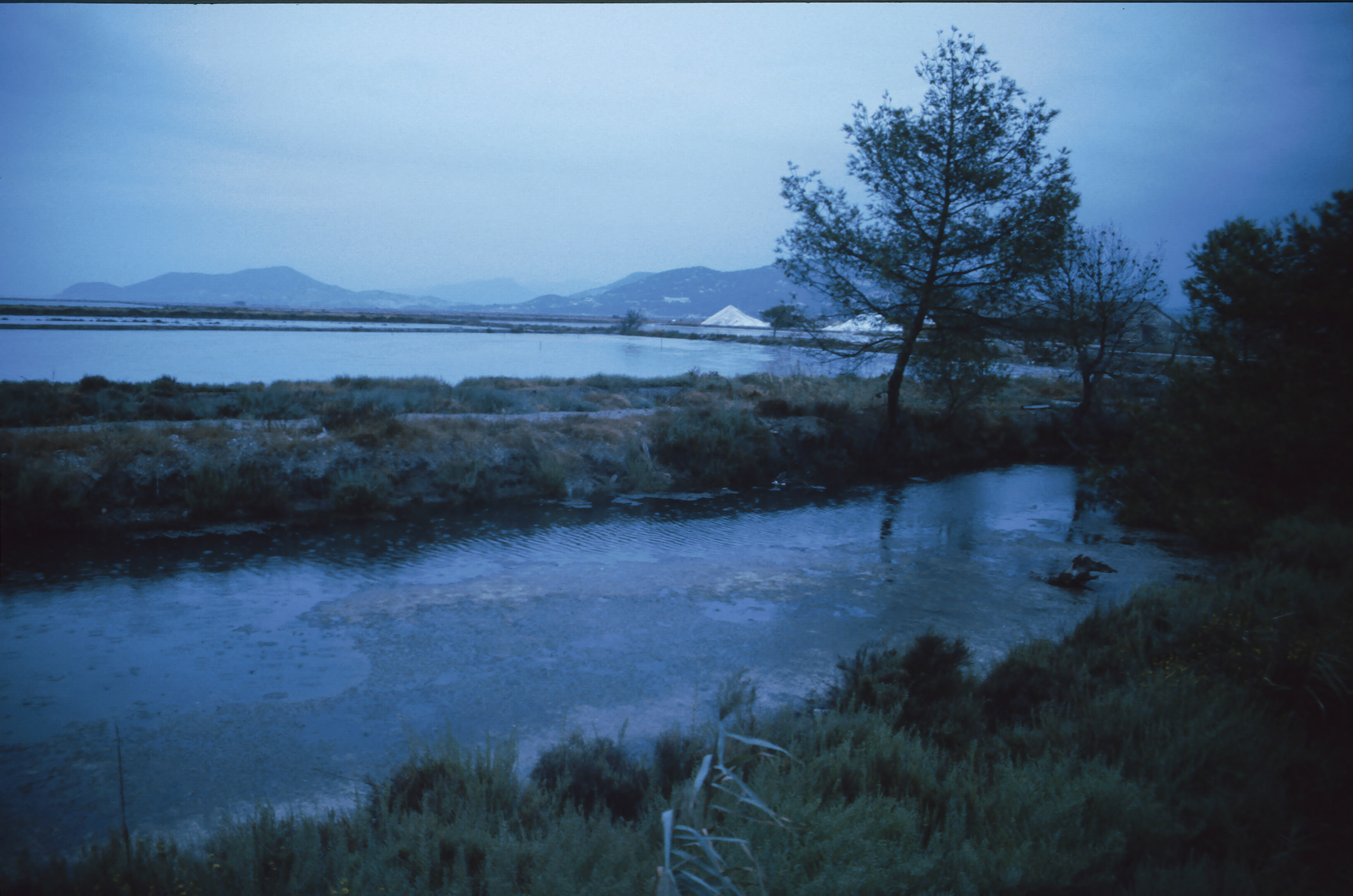 1991 FraA Cote dAzure 048.jpg