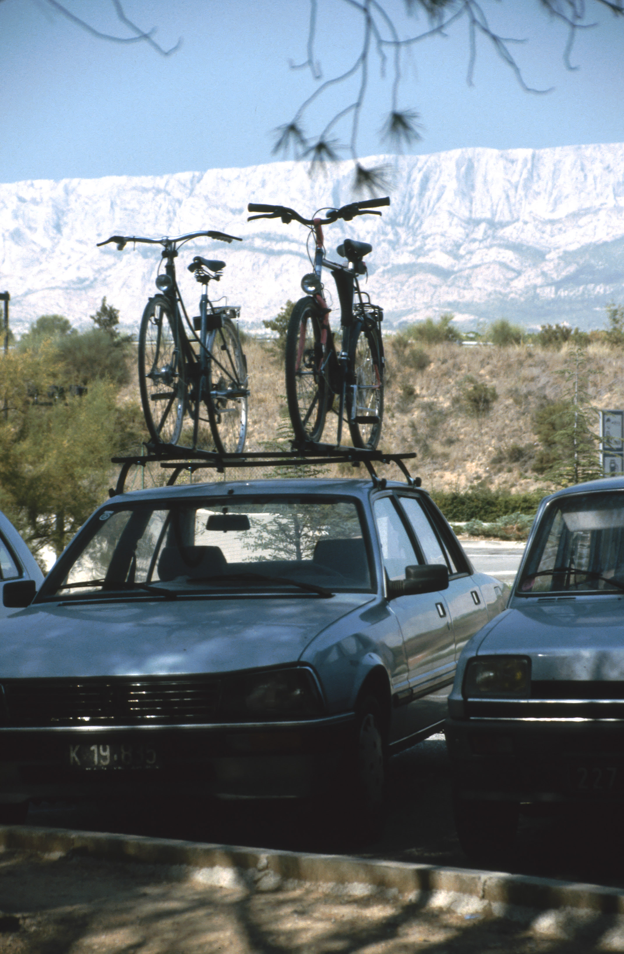 1991 FraB 32.jpg