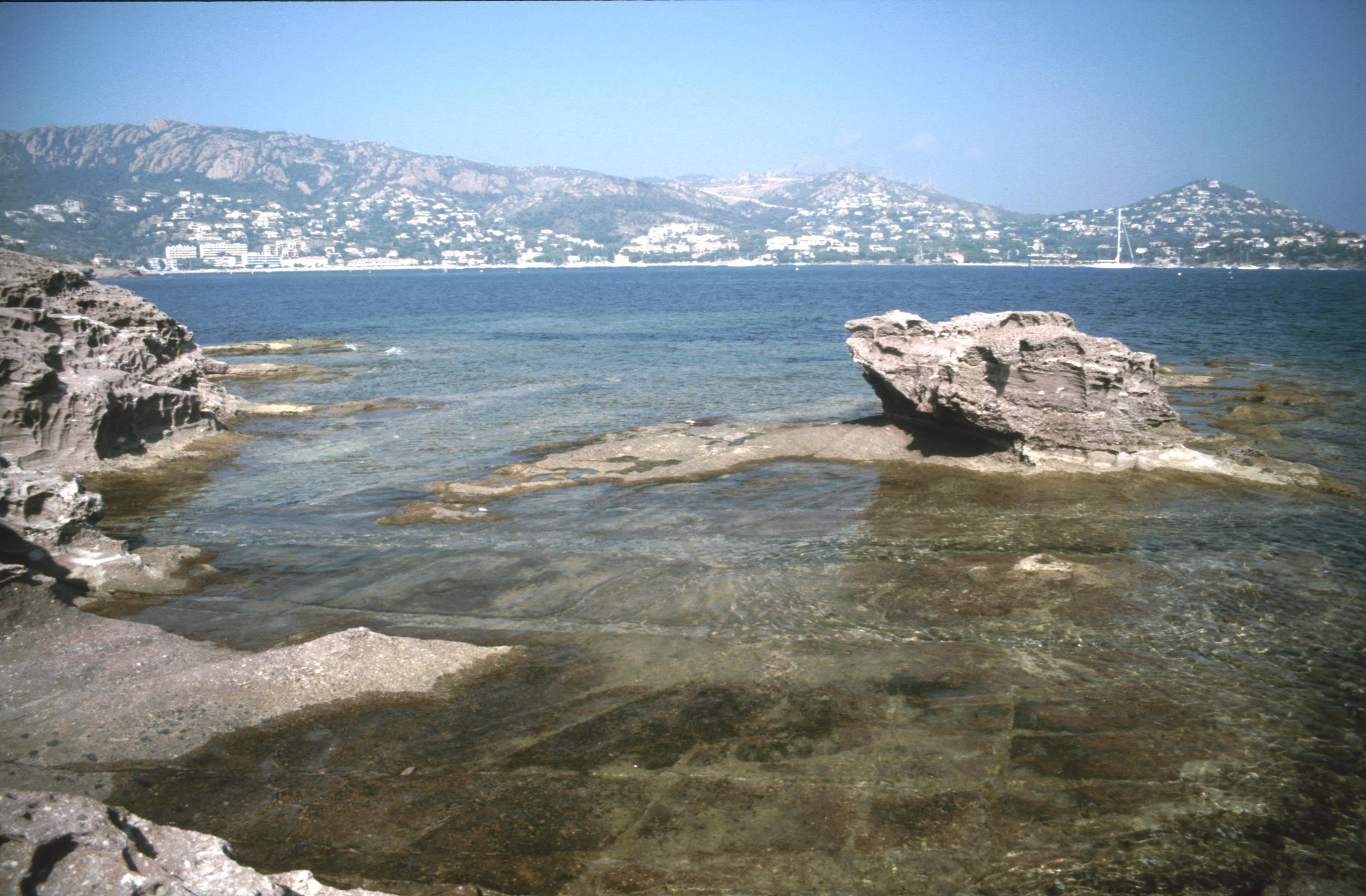 1991 FraB 33.jpg