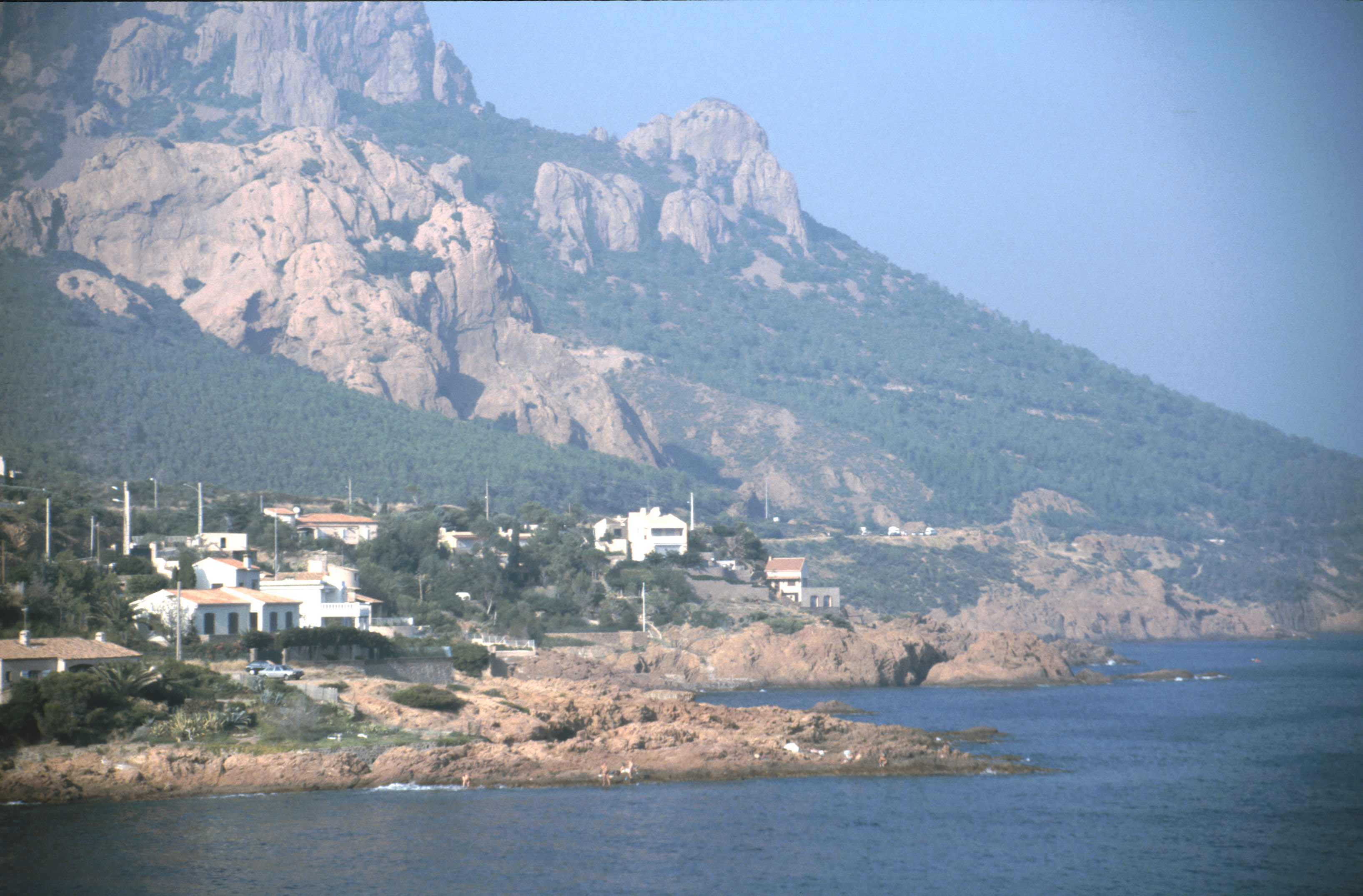 1991 FraB 43.jpg