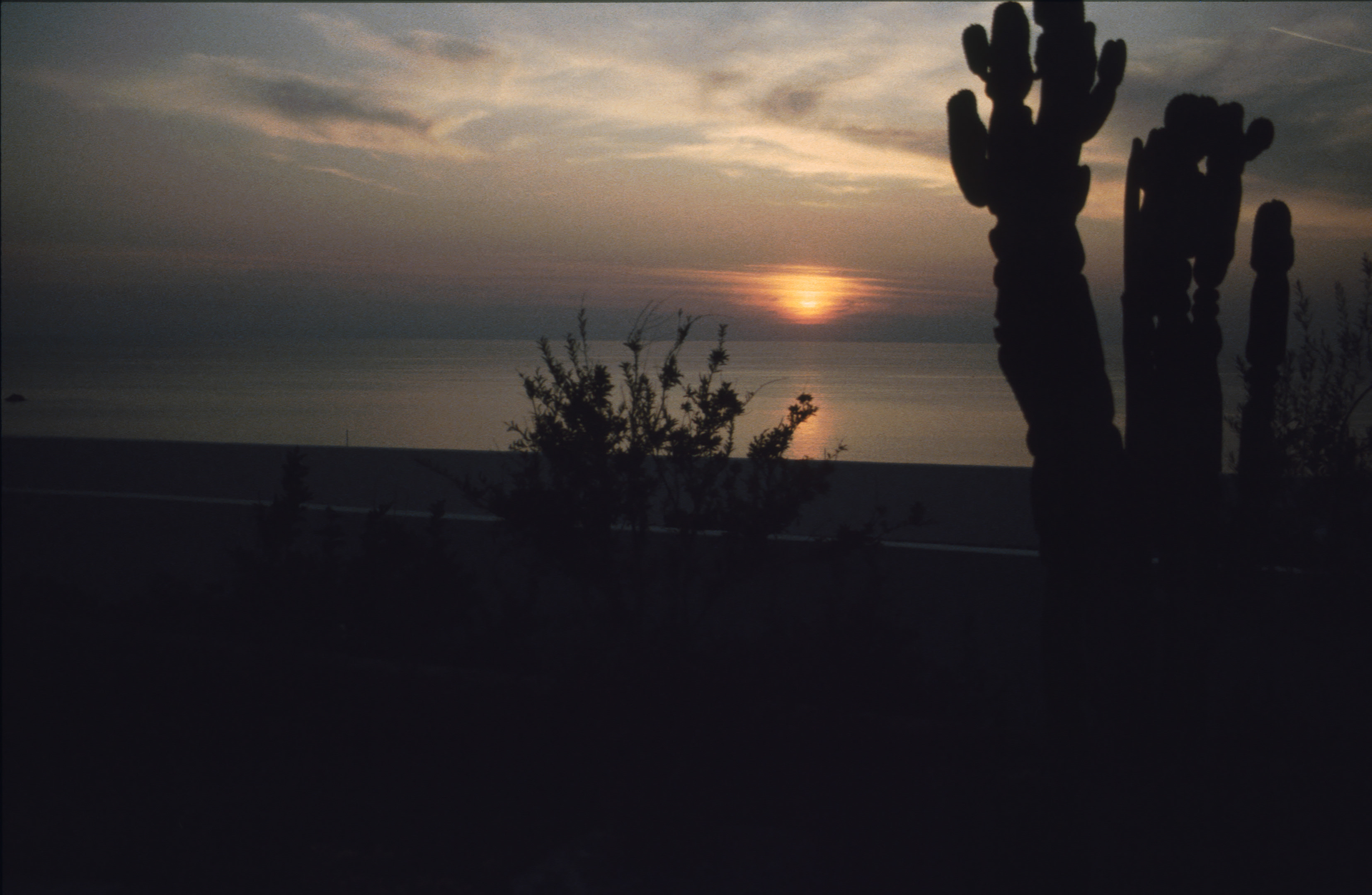 ISCHIA 1994  035.jpg
