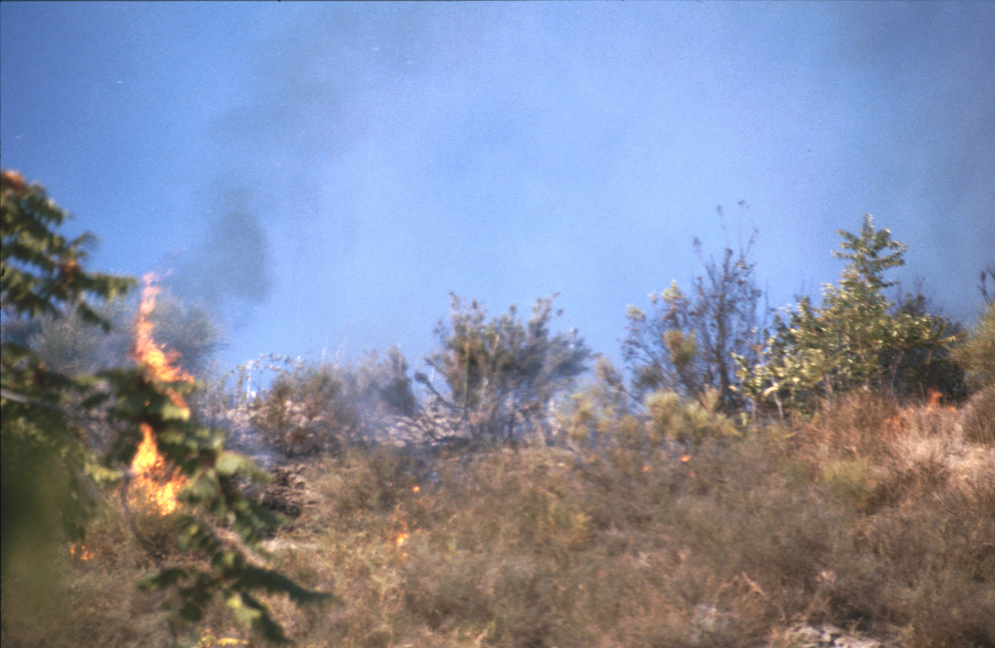 ISCHIA 1994  140.jpg