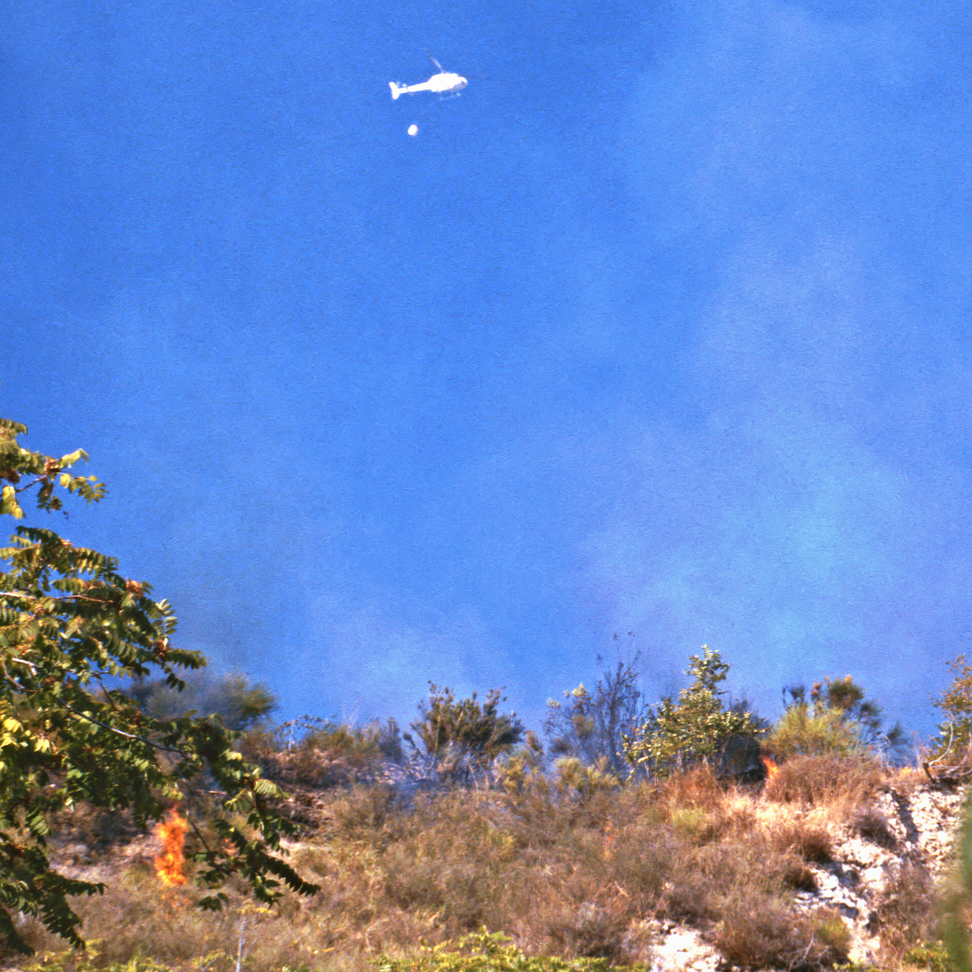 ISCHIA 1994  145.jpg