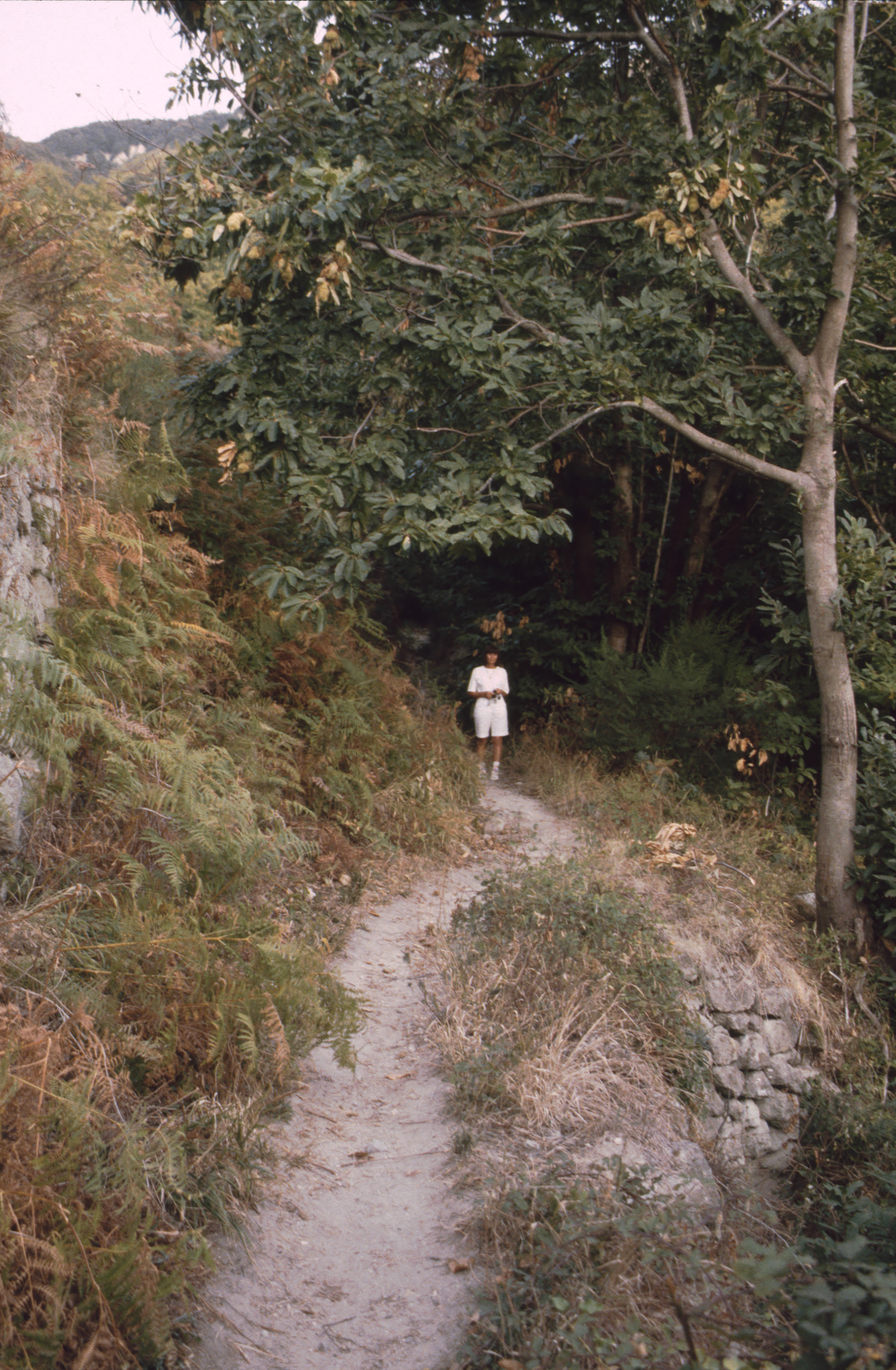 ISCHIA 1994  235.jpg