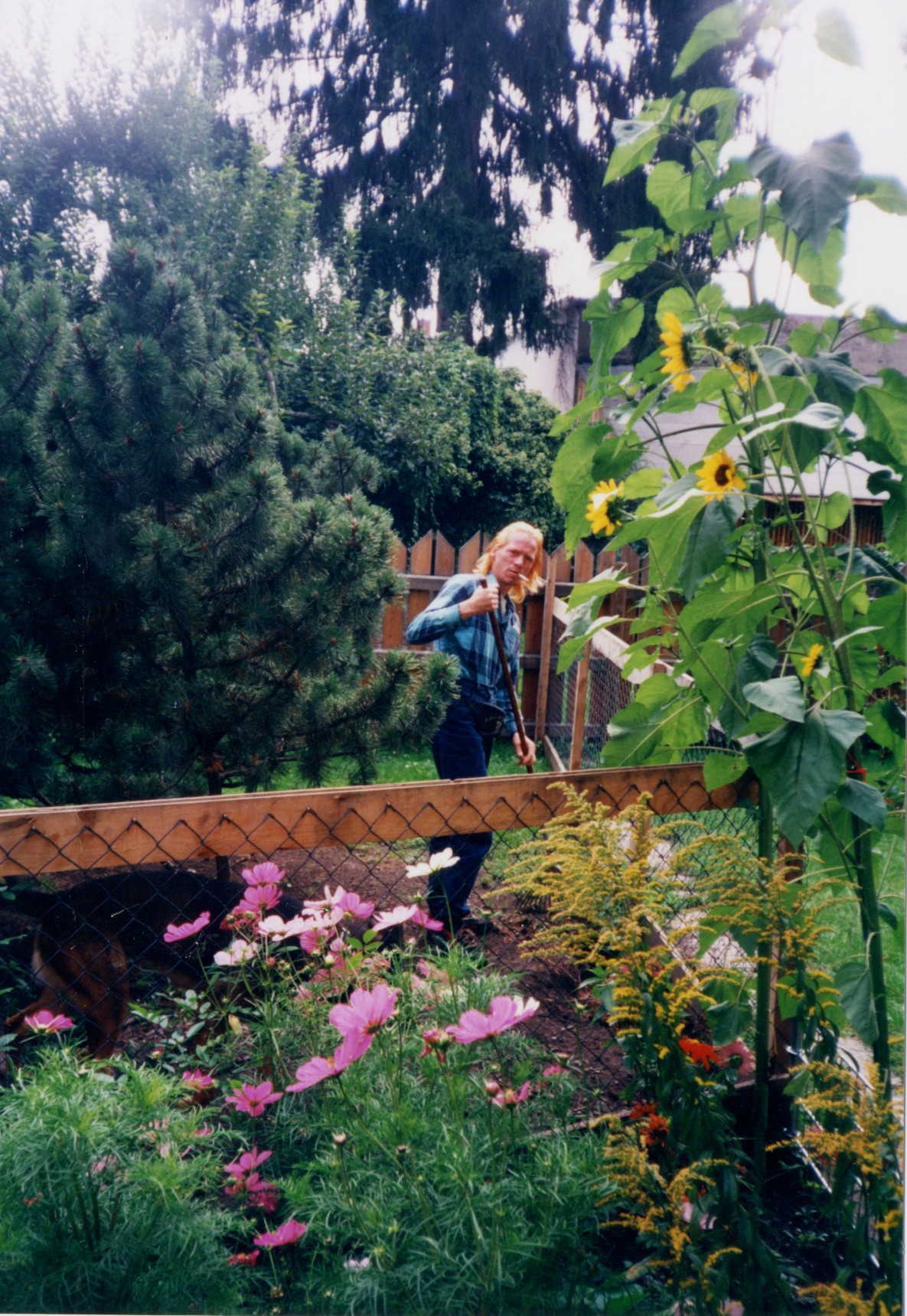 1999 Gartenanlage 98 a.JPG