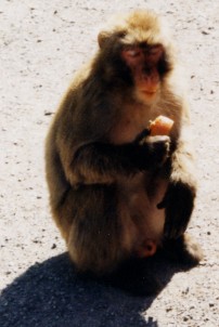 199109  Klientenausflüge   001.JPG