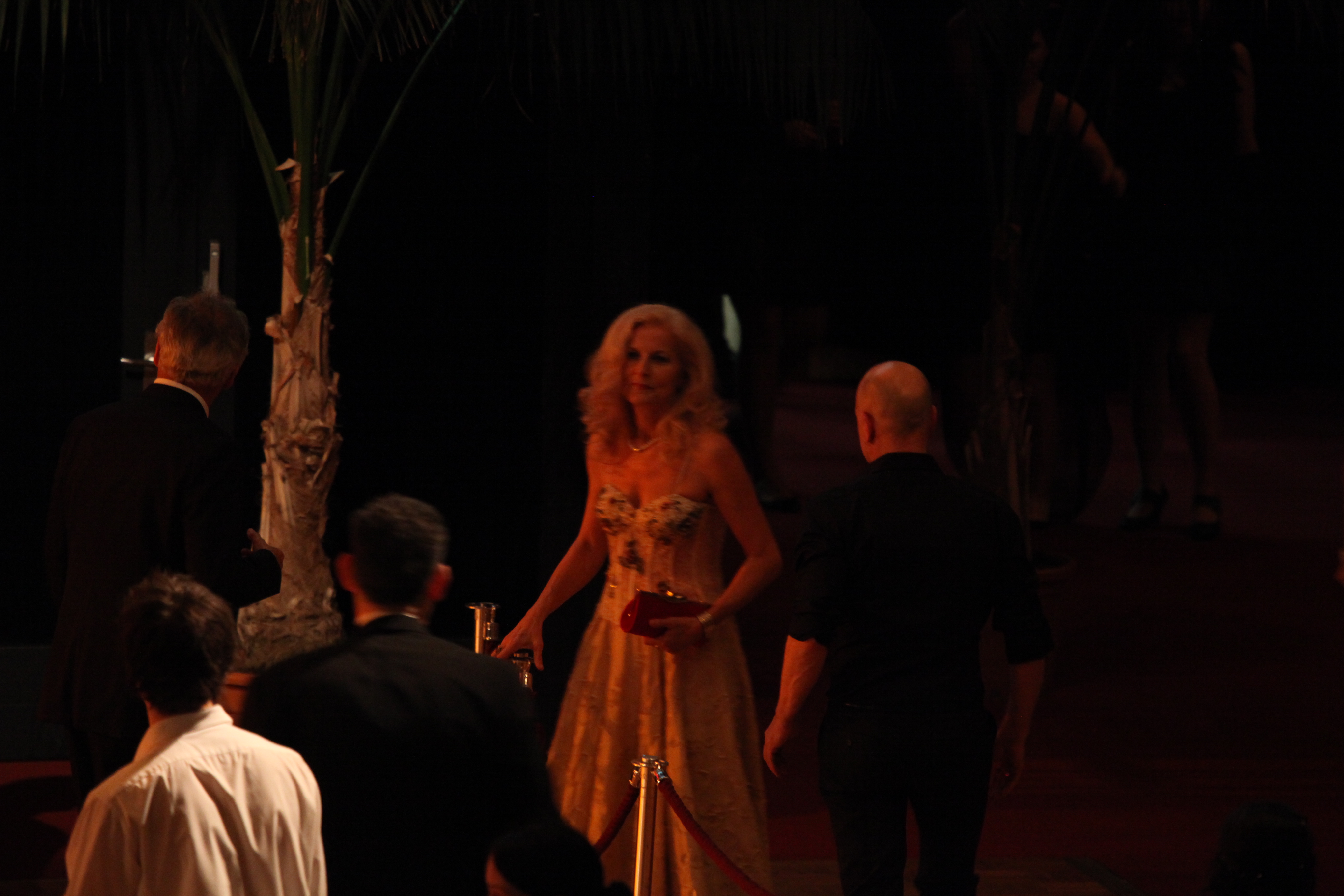 WiMo Ball 2012 Rio  087.JPG