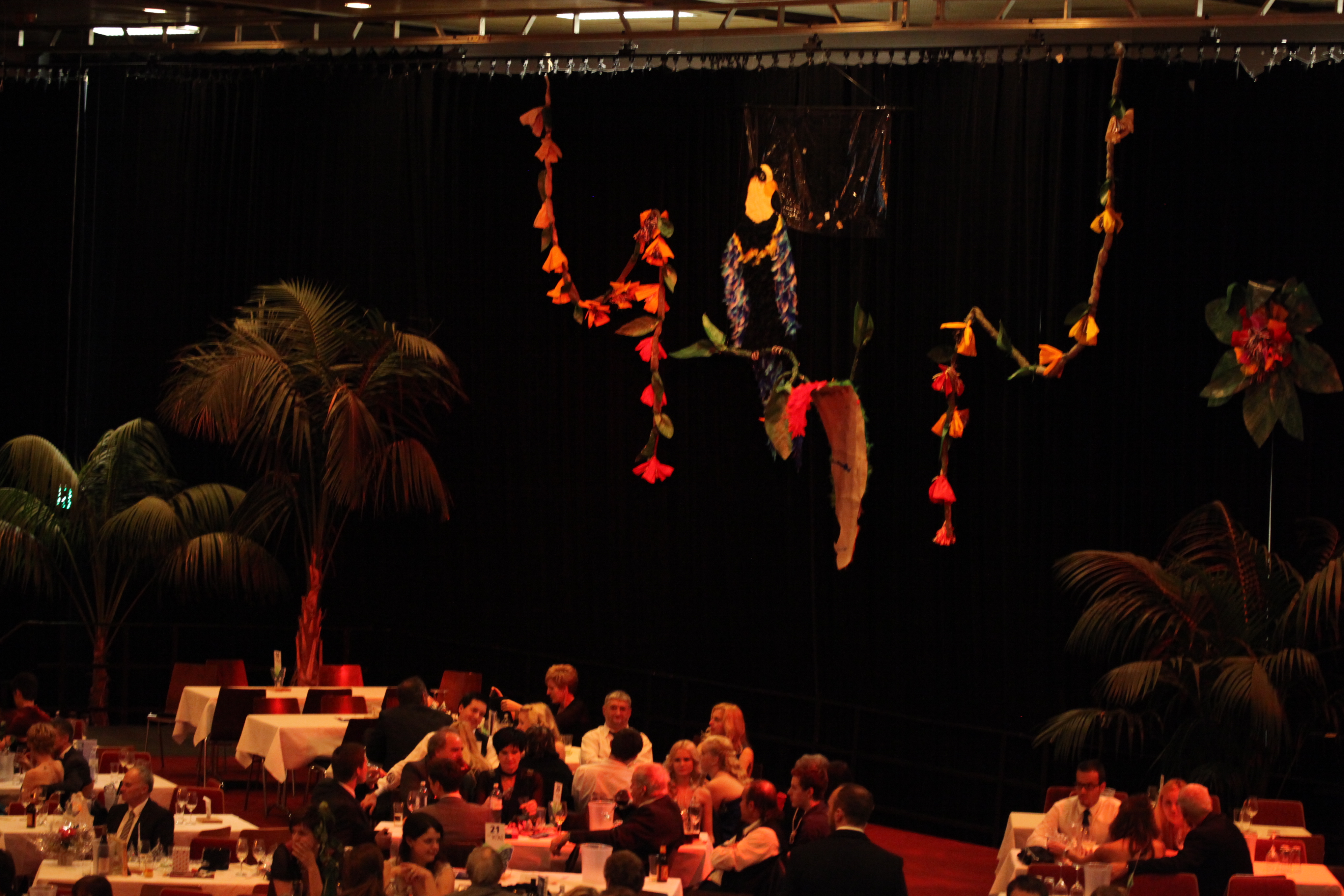 WiMo Ball 2012 Rio  215.JPG