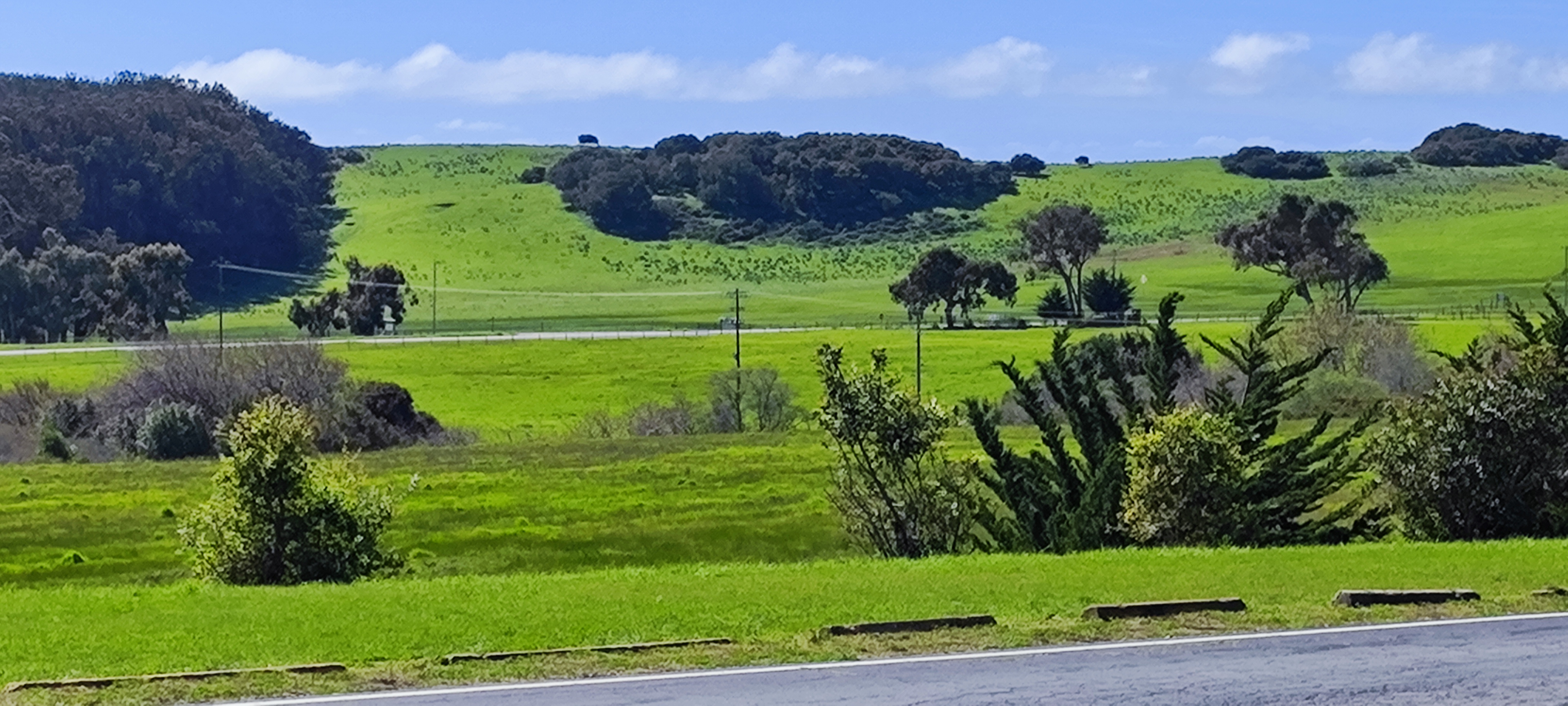C7 Hearst Castle 039.jpg