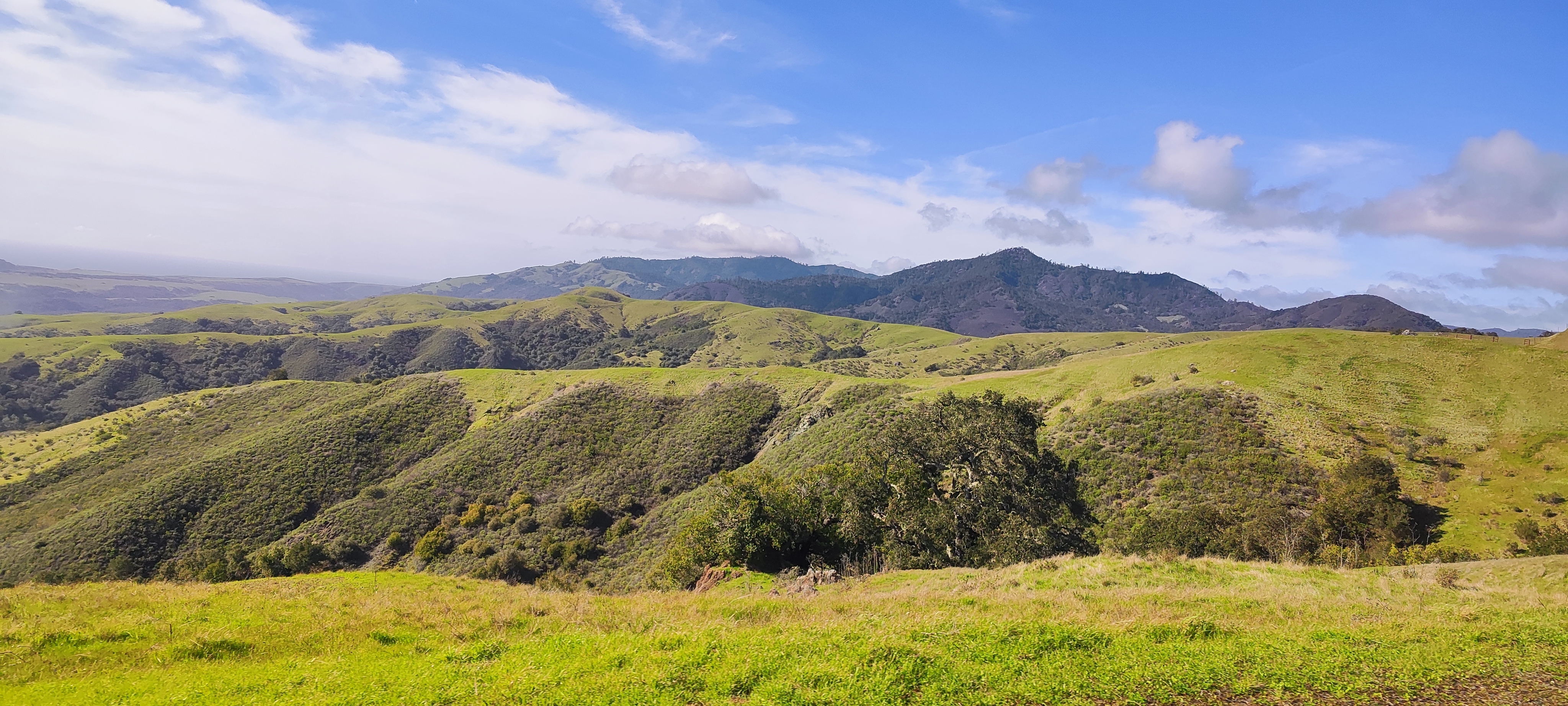 C7 Hearst Castle 213.jpg