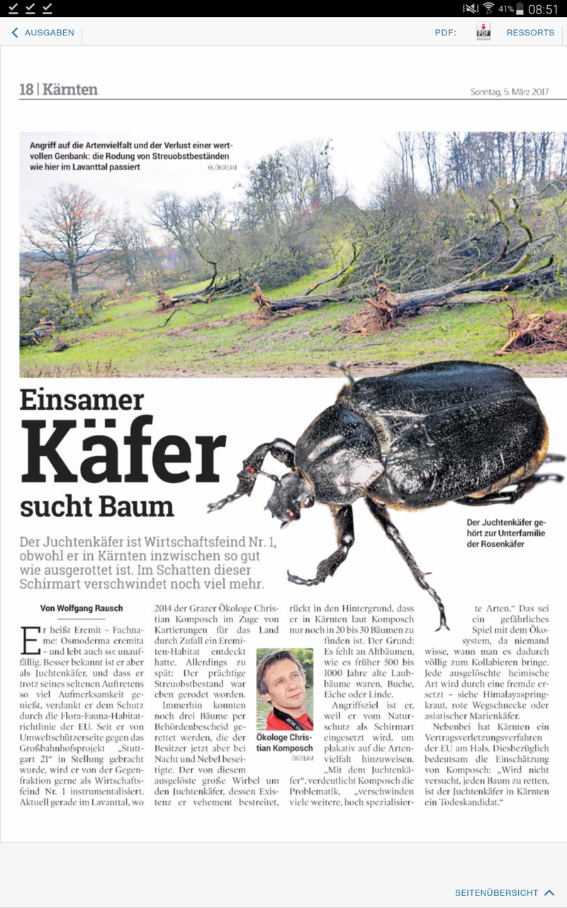 Einsamer Käfer sucht Baum - 2017.png